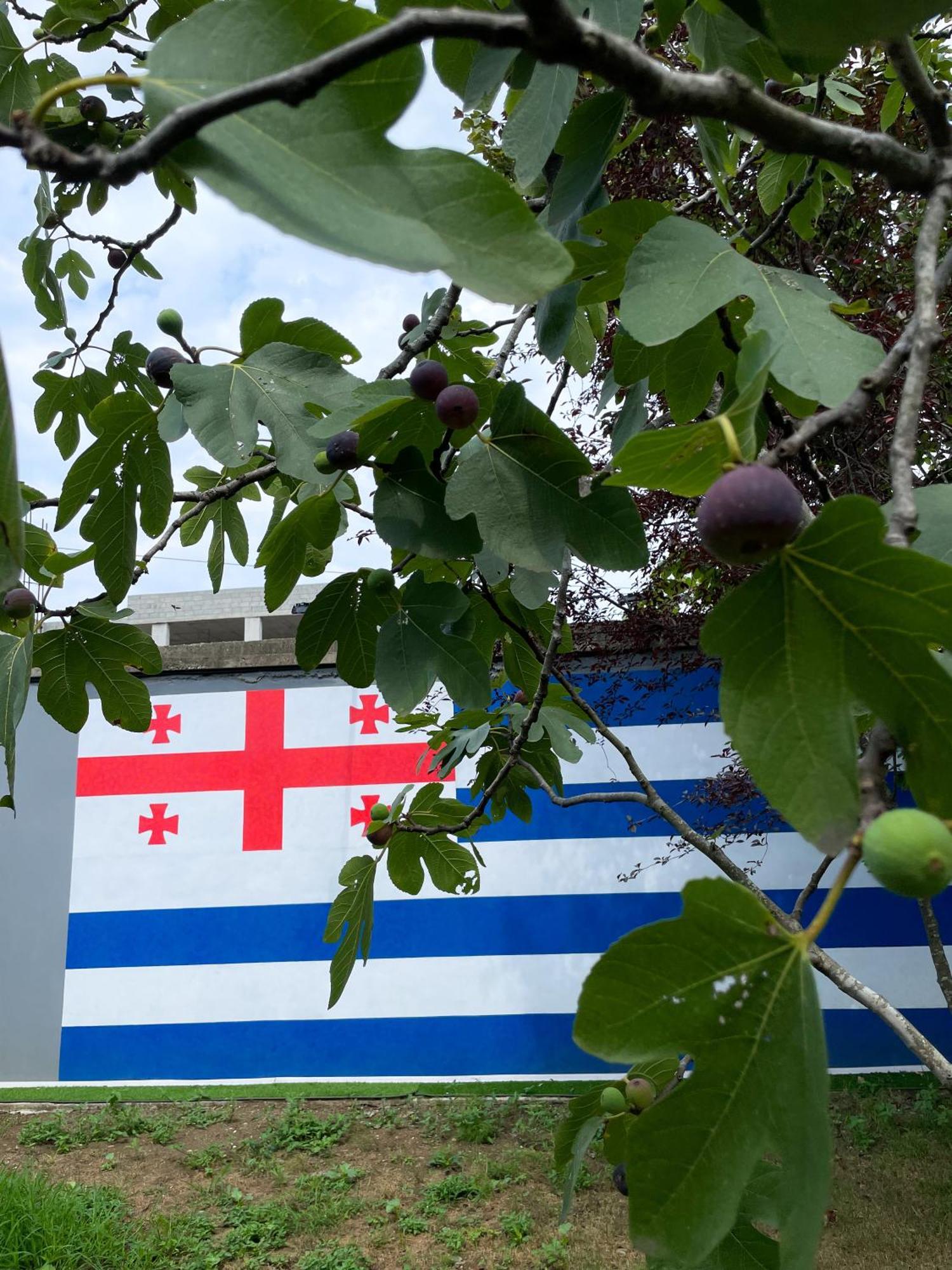 Sun And Moon Aparthotel Μπατούμι Εξωτερικό φωτογραφία